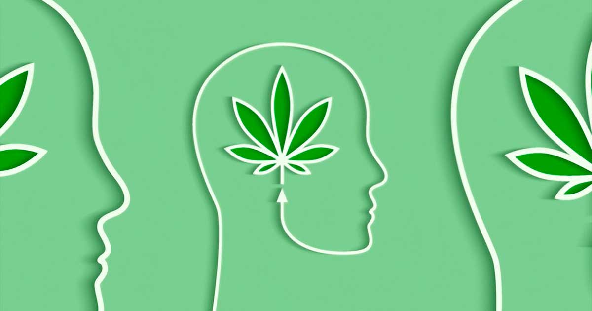 Missbrauch von Cannabis