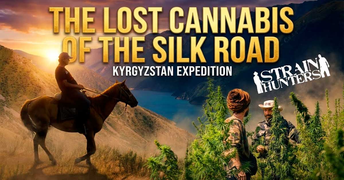 Strainhunters in Kirgisistan