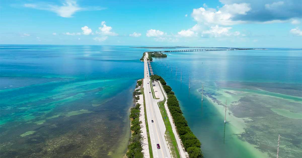 Florida und erwachsenes Cannabis