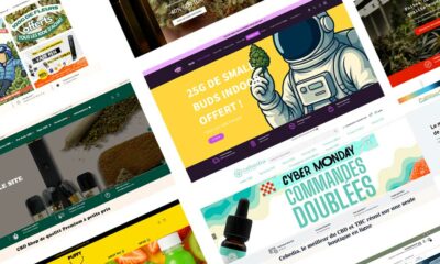 Die besten Seiten für den CBD-Kauf