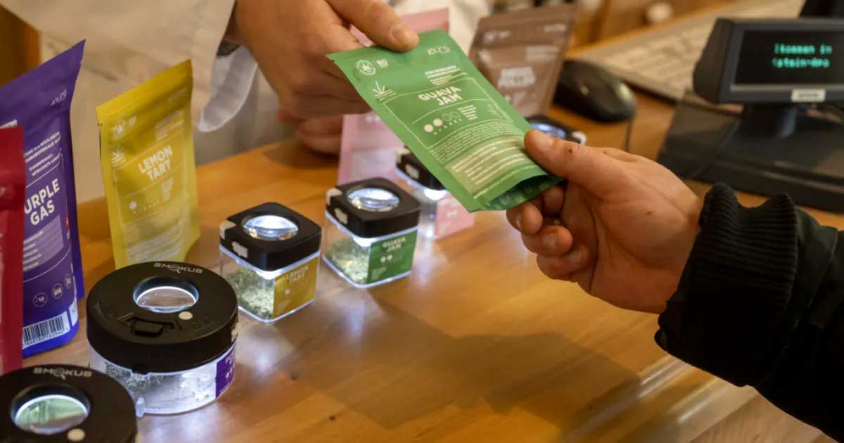 Die Schweizer Methode zur Legalisierung von Cannabis