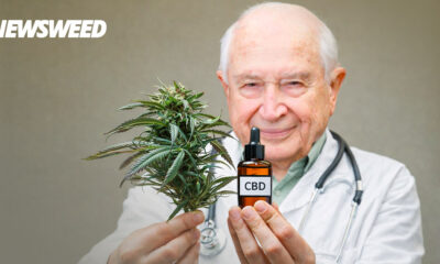 Zu den Ursprüngen von CBD