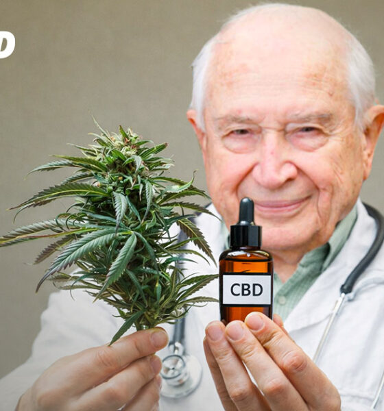 Zu den Ursprüngen von CBD
