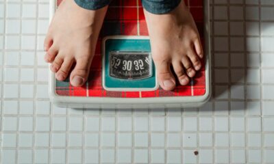 CBG und Fettleibigkeit