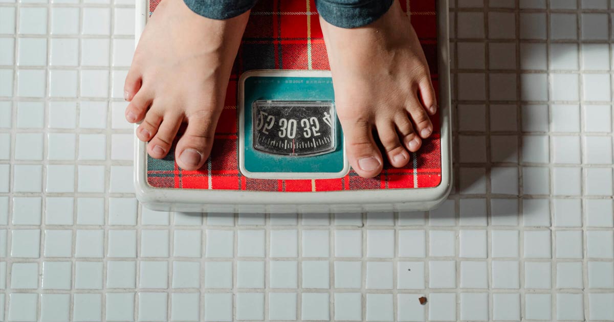 CBG und Fettleibigkeit