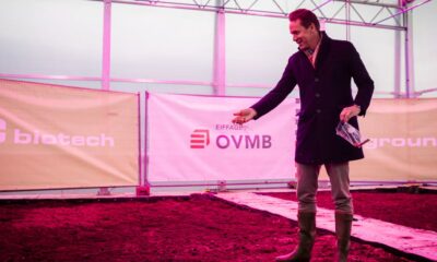 Hanf gegen PFAS in Gent