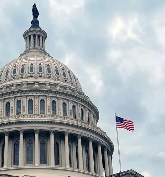 US-Kongress und Verbot von Hanf-THC