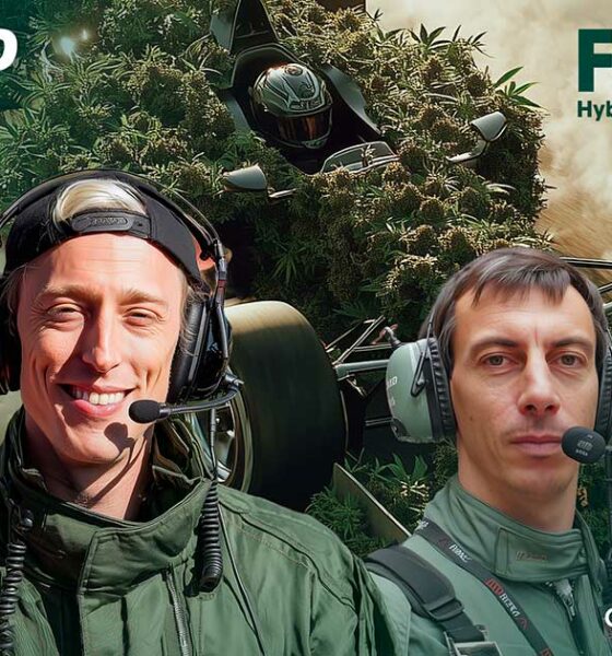 F1 Hybride von Royal Queen Seeds