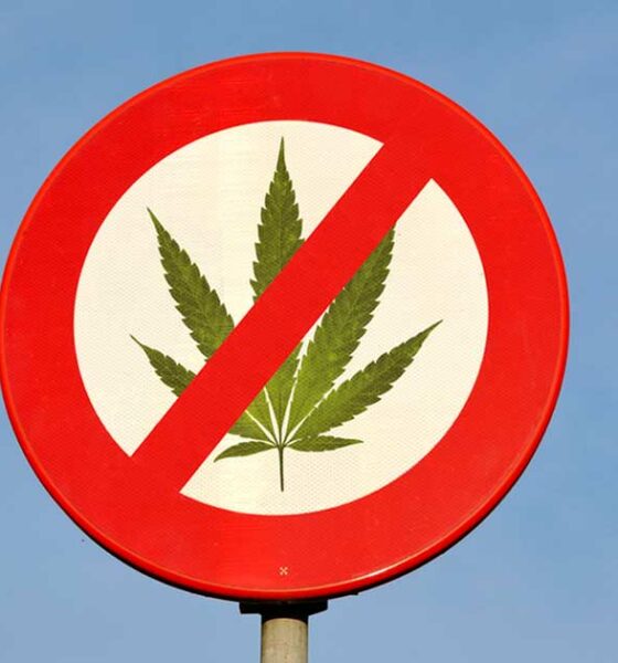 Anti-Cannabis-Finanzierung