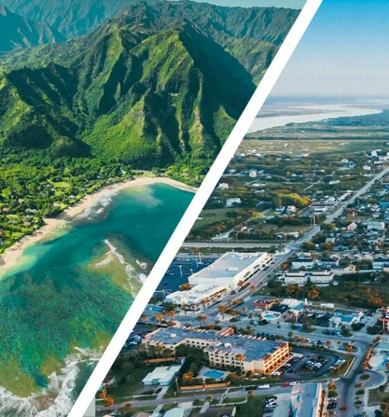 Legalisierung von Cannabis in Florida und Hawaii