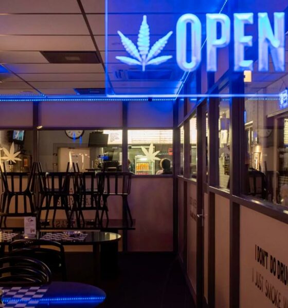 Vollständige Legalisierung von Cannabis in Deutschland