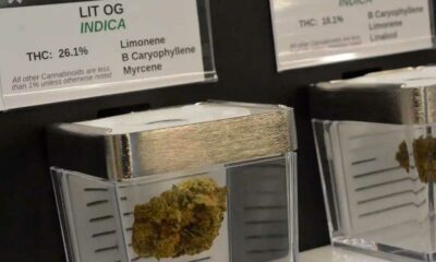 Öffentlicher Verkauf von Cannabis in Minnesota