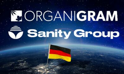 Organigram und Sanity