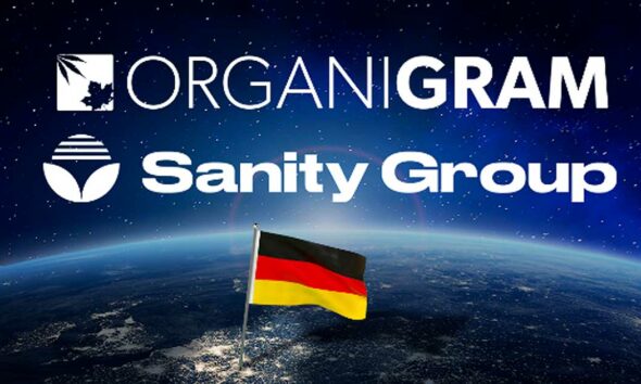 Organigram und Sanity