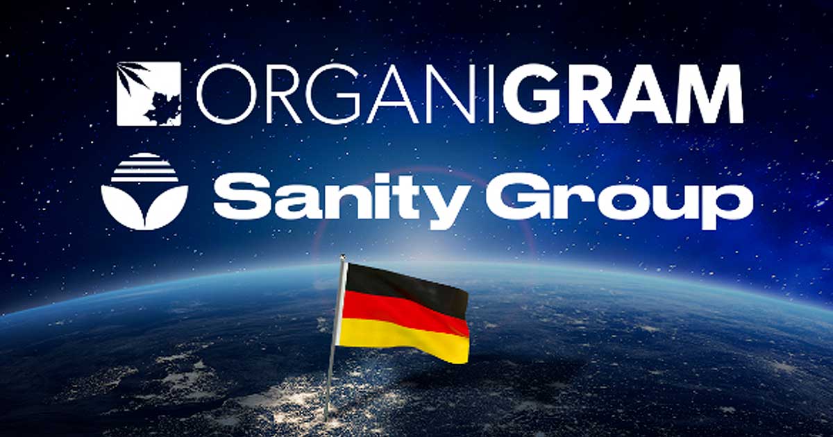 Organigram und Sanity