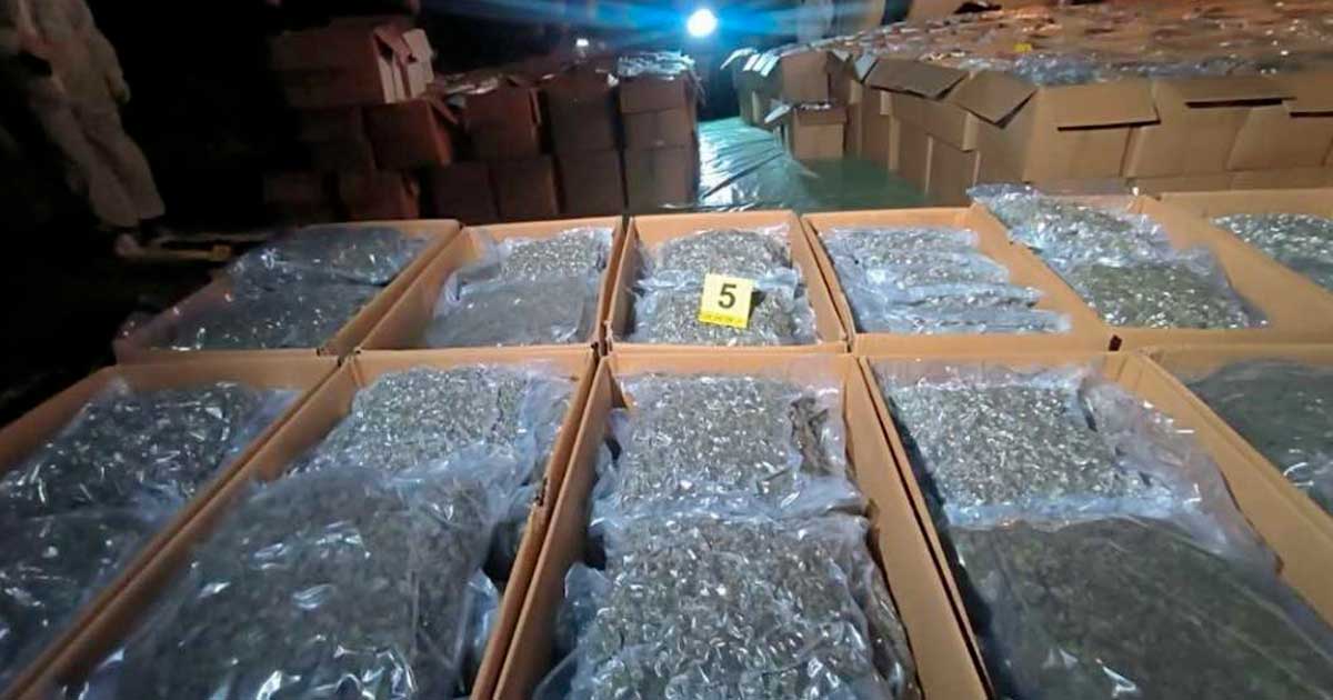 Beschlagnahmungen von medizinischem Cannabis in Nordmazedonien