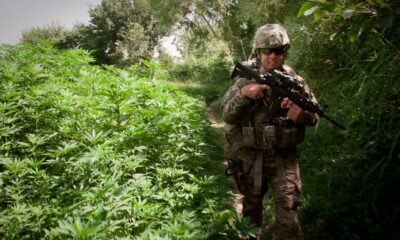 US-Armee und Cannabis