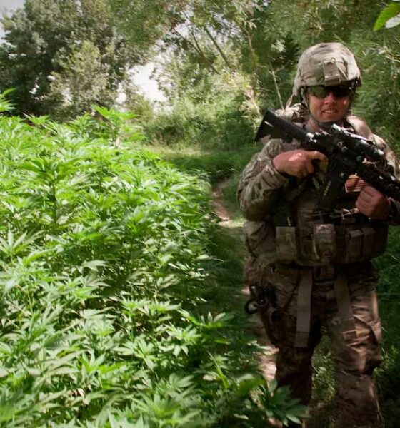 US-Armee und Cannabis
