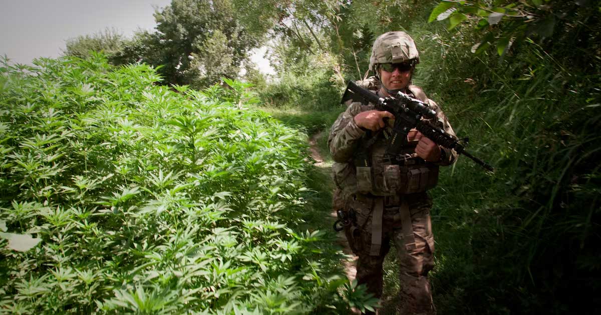 US-Armee und Cannabis