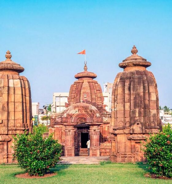 Recherchen zu Cannabis in Indien