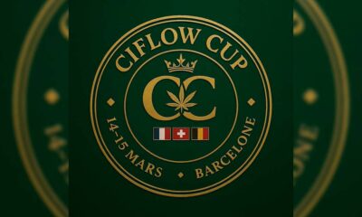 Ciflow Cup