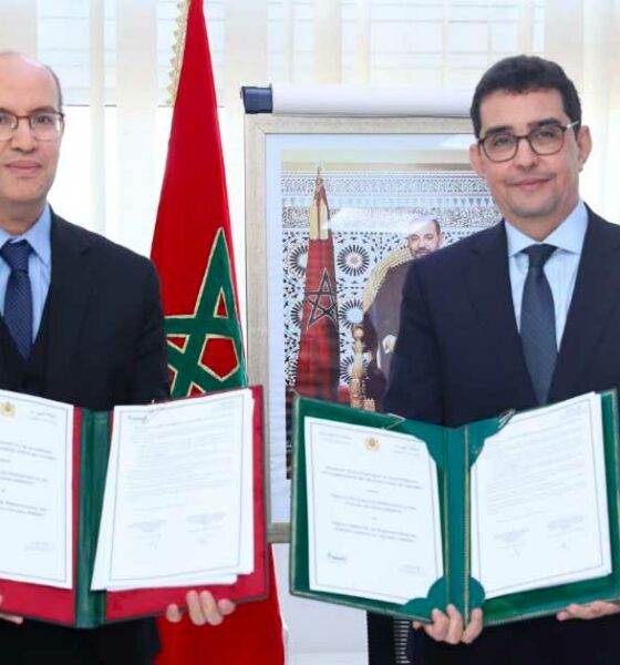 Vereinfachung der Registrierung von Cannabisprodukten in Marokko