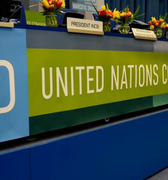 Das CND-Panel bei den Vereinten Nationen