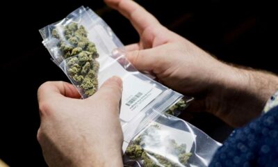 Deutsche Polizei fordert bessere Legalisierung von Cannabis