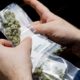 Deutsche Polizei fordert bessere Legalisierung von Cannabis