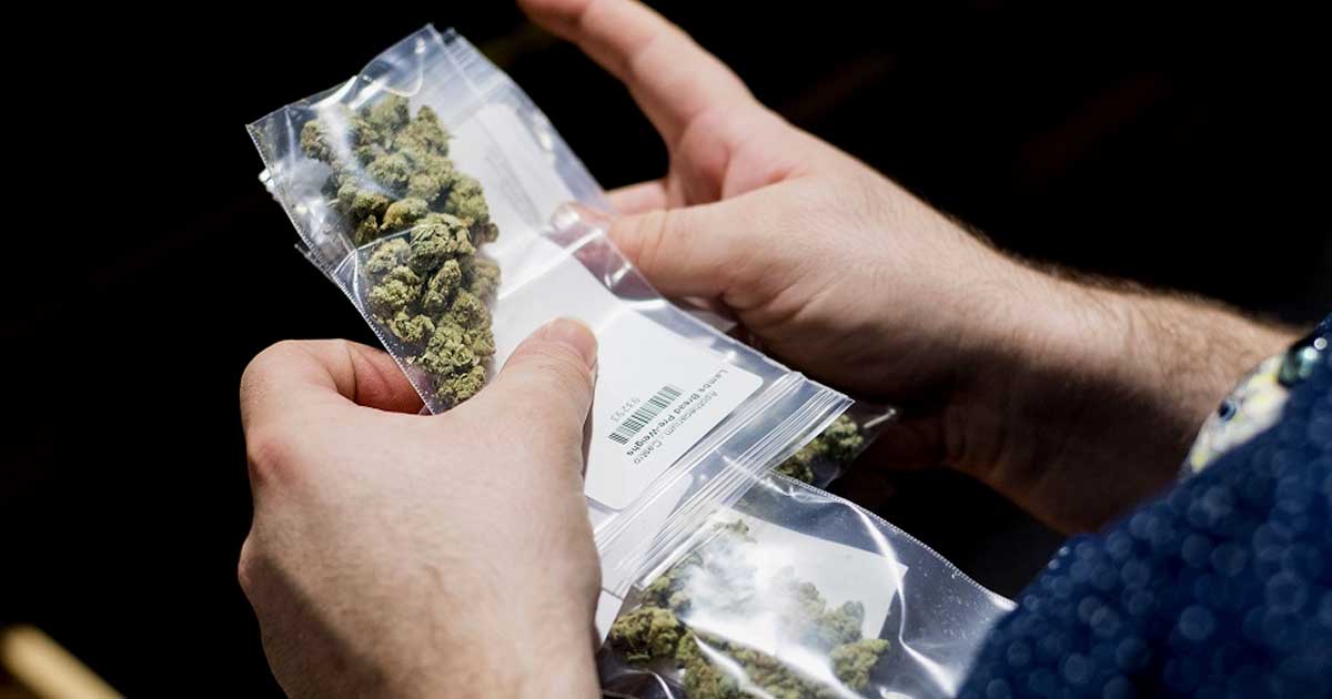 Deutsche Polizei fordert bessere Legalisierung von Cannabis