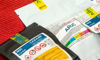 Cannabisvorrat in einem Cannabis Club in Malta