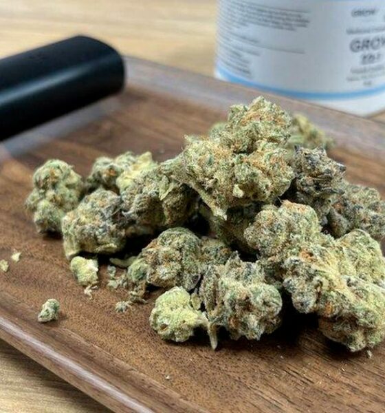 Medizinisches Cannabisprogramm in Irland gescheitert