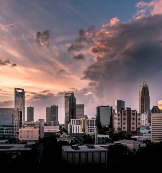 Pläne zur Legalisierung von Cannabis in North Carolina