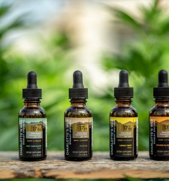 Charlotte's Web und British American Tobacco