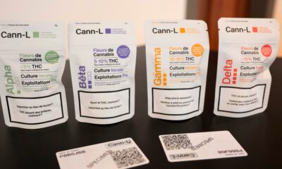 Erfahrungen mit der Legalisierung von Cannabis in Lausanne