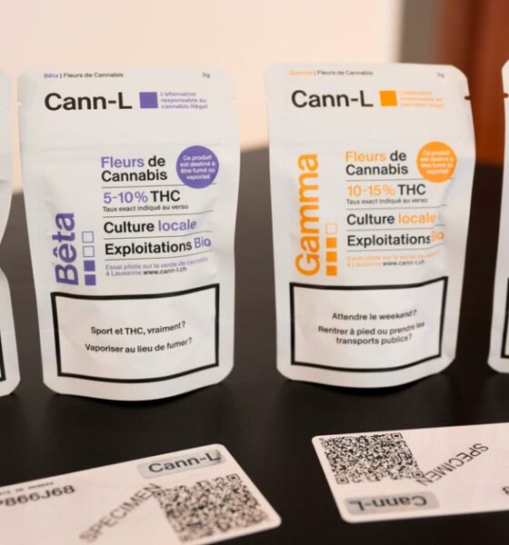 Erfahrungen mit der Legalisierung von Cannabis in Lausanne