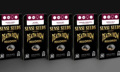 Sensi Seeds und Death Row Records bringen ihre Cannabis-Sorten auf den Markt