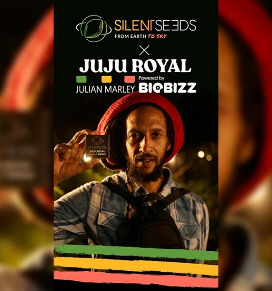 Sorten Silent Seeds und Julian Marley