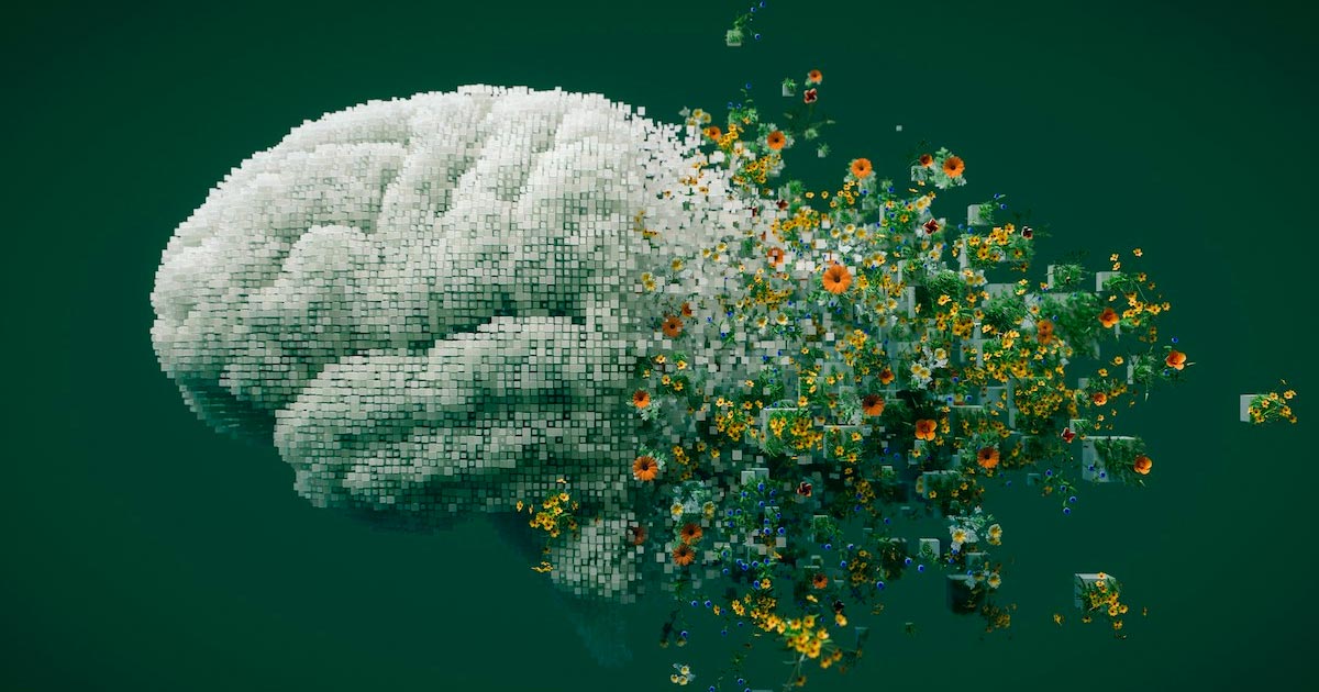 Cannabis und Gedächtnis