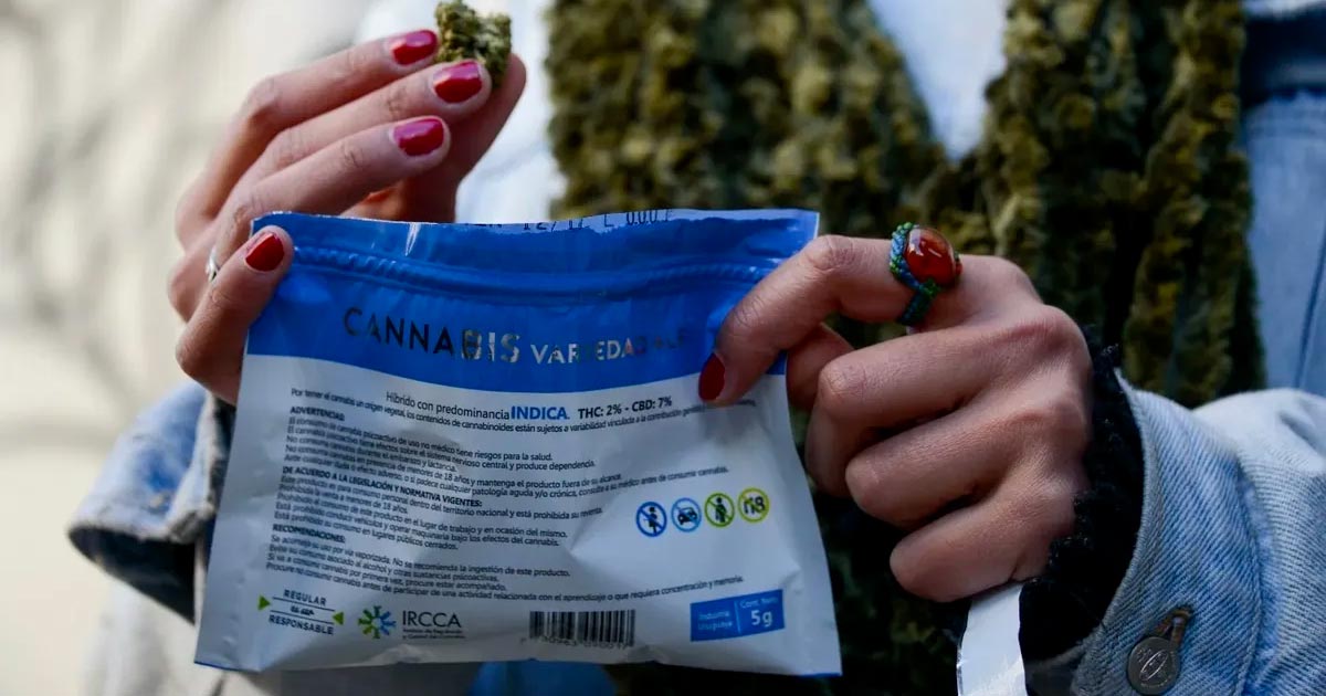 Grauer Cannabismarkt in Uruguay