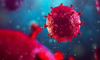 CBD würde HIV-Infektion verhindern