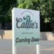 Medizinische Cannabis-Dispensary in Alabama