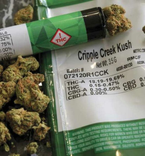 Medizinisches Cannabis in Louisiana für todkranke Patienten