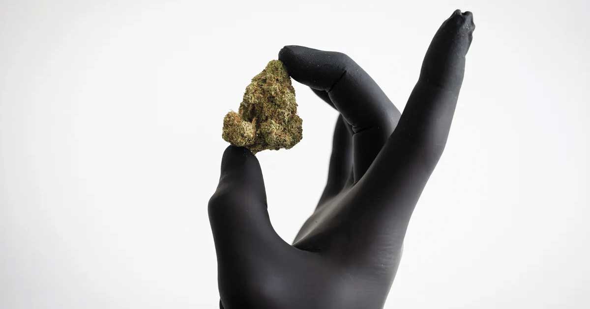 Rückerstattung von Cannabisblüten in Deutschland