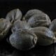 GTR Seeds