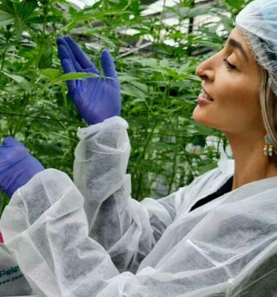 Turbo Cannabis in Israel