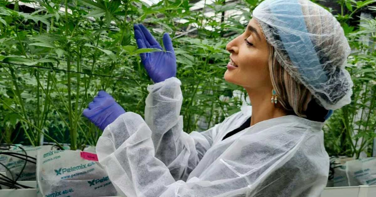 Turbo Cannabis in Israel