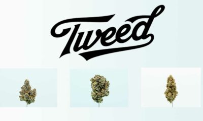 Tweed in Deutschland