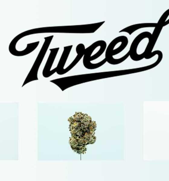 Tweed in Deutschland