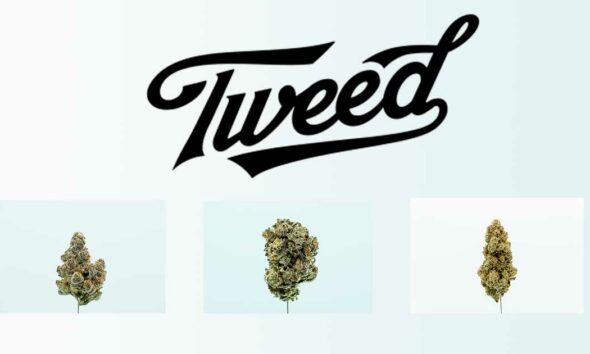 Tweed in Deutschland